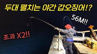 한치와 갑오징어를 동시에 잡을 수 있는 지금 이 시기를 놓치지 마세요!!