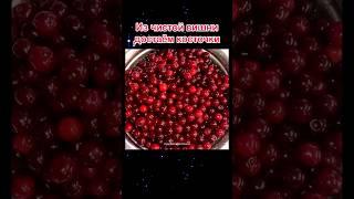 Свежая вишня на зиму Заморозка вишни без косточек