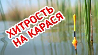 ХИТРЫЕ КАПЛИ на КАРАСЯ. Рыбалка на поплавок в диком заливе.