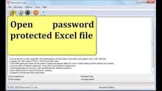 Excel Password Recovery with Passcovery Suite