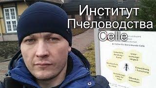 Институт пчеловодства Целле / Пчеловодство Германии / В гостях у IMKER DE