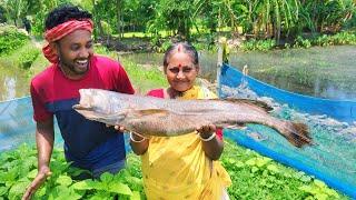 সুন্দরবন নদীর বড় দানব সাইজের, ভোলা মাছের ফিশ ফিঙ্গার ও সরষে বাটা বানিয়ে, সবাই খুব মজা করে খেলাম!!!