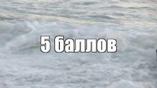 5 баллов