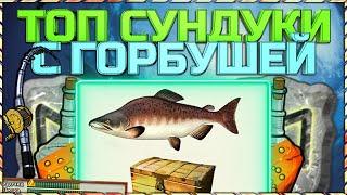 РР3 ГДЕ ЛОВИТЬ СУНДУКИ С ГОРБУШЕЙ?