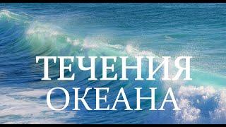 Течения мирового океана, океанов, почему морские течения возникают, как циркулирует влияют на климат