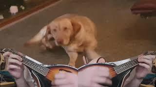 Final Fantasy VII - Farm Boy (Cover) - James Perkins