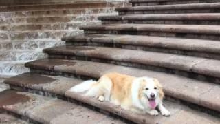 Flash having an Afternoon In San Antonio.