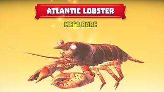 ATLANTIC LOBSTER  UNLOCKED! (iOS) - KING OF CRABS DaNi MC Gaming