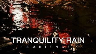10 Hour | Rain Tranquility | Gentle Sounds for Sleep | Focus | Work | Calming Background Ambience