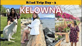 Things To Do In Kelowna, BC | Canada 2024 | VLOG