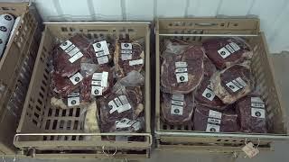 Livestock Marketing - March 22, 2025
