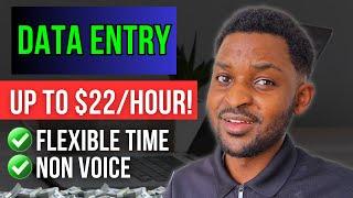 Online Data Entry Jobs That Pay Up TO $22 an Hour | Work From Home Jobs