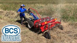 Walk-behind Hay Rakes for BCS Two-Wheel Tractors