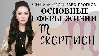 СКОРПИОН ПРОГНОЗ ВСЕ СФЕРЫ ЖИЗНИ НА СЕНТЯБРЬ 2024