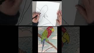 #Cute Macaw  #Drawing for Beginners #Shorts