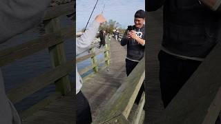 Their first Black Seabass, 1st time at this pier. I helped them find the fishes