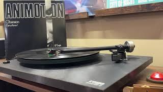Obsession (Dance Mix) - Animotion