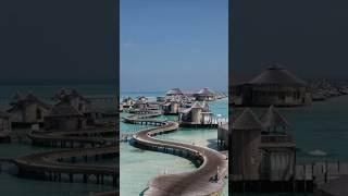 Luxury Maldives #maldives #short #shorts