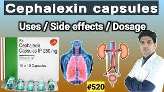 Cephalexin 500mg capsules | Cephalexin capsules ip 500mg hindi uses, side effects, dose