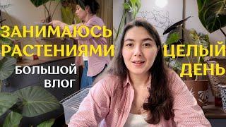 ДОМАШНИЙ влог с УХОДОМ за РАСТЕНИЯМИ | новые ТЕПЛИЧКИ, пересадки и НЮАНСЫ ПОЛИВА растений 