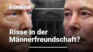 "Dann war's das mit dem politischen Einfluss von Elon Musk"