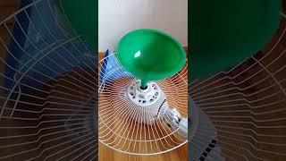 Fan Dancing 38 - Funny Video #fan #kipasangin #shorts