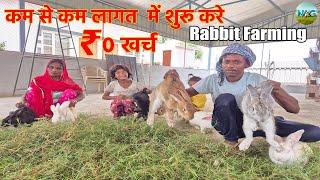 अब मिलेगा रोजगार 100% GAURNTEE के साथ - Rabbit Farming In India