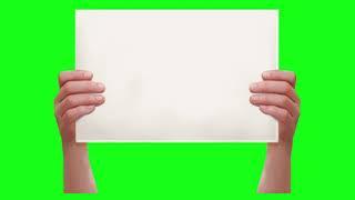 Top 08 Knockout Green Screen Effects