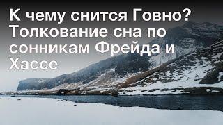 К чему снится Говно? Толкование сна по сонникам Фрейда и Хассе