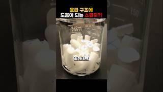 응급 구조에 도움이 되는 스펀지?!