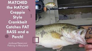 Matched the Hatch! Crappie Style Crankbait Catches FAT Bass and a Yellow Perch! (Bonus Row Exercise)