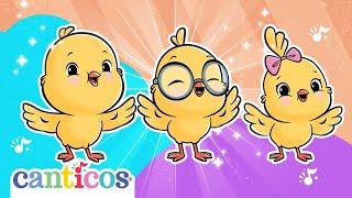 Los Pollitos dicen Pio Pio Pio Canciones Infantiles | Canciones de Cuna, Nursery Rhymes | Canticos