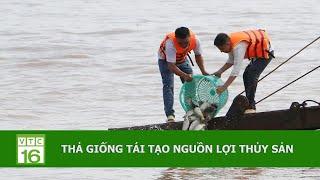 THẢ GIỐNG TÁI TẠO NGUỒN LỢI THỦY SẢN | VTC16