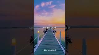 Alone pt.ll / lyrics edit [NVN Music] #shorts