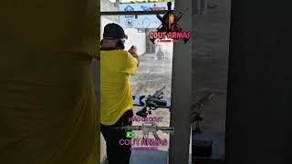 GLOCKTERAPIA G19