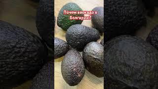 Почем авокадо в Болгарии?