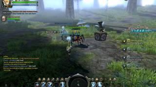 Dragon Nest funny monster bug (BETA)