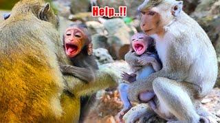 H_elp!! Small Baby Jester Was K_idnapped And Struggle Go Out To His Mom.