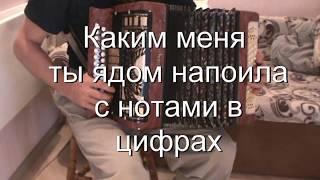 Каким меня ты ядом напоила с нотами в цифрах