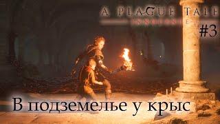 прохождение игры A Plague Tale Innocence ▷ В подземелье у крыс #3