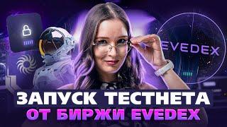 EVEDEX: Новая гибридная DEX без KYC! Участвуй в тестнете, собирай бейджи и получай награды!