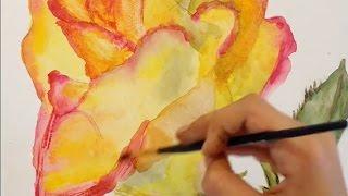 Aquarelle - How to draw a rose