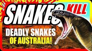 HAVE You Seen These DEADLY SNAKES while CAMPING in Western Australia?