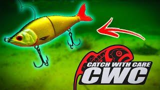 PIKE FISHING: Softbaits vs Hardbaits CHALLENGE - Catch With Care TV