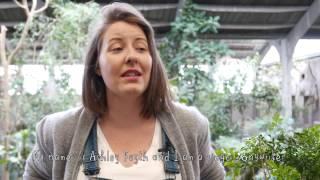 Sing for Songbirds song - interview with Ashley Fayth