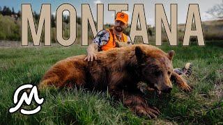 BLACK BEAR HUNT IN GRIZZLY COUNTRY | Montana | The Land of Ephraim | 4k FILM