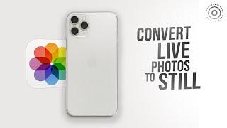 How do I Convert Live Photos to Just Photos on iPhone (tutorial)