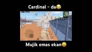 #azikpubg #wozto #tdm #umarpubg #umar_pubg #bekjanpubg #prikolpubg #sayfulla #sngfinal #musoboi