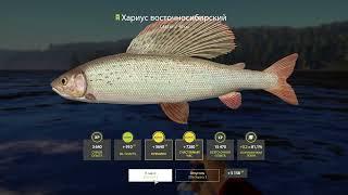 Русская Рыбалка 4. ФАРМ СЕРЕБРА! на реке Тунгуска. ХАРИУС и ФОРЕЛЬ!! Russian Fishing 4