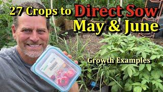 27 Vegetable Plants You Can Direct Sow in May & June  (Plant Seeds & Save Money)